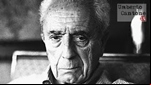 Arena: Dear Antonioni