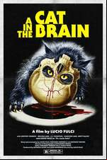 A Cat in the Brain
