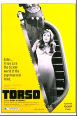 Torso